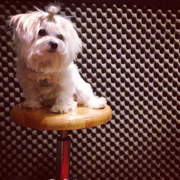 Meet your Posher, Laura - Picture 4 of 5